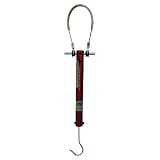 Pack Scale, 0 - 55 lb range