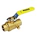 Webstone 3/4 Specialty Ball Valve 5062W Series
