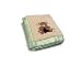 NoJo Dreamy Plush Applique Blanket B is for Bear