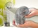infactory Magische Spirale "Slinky"