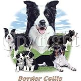 Border Collie Adult Sweatshirt
