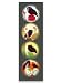 iPop Clicks Amy Ruppel Owls 4-Pack Magnet Set