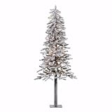31udwhCHlSL. SL160  Vickerman   6 x 30 Flocked Alpine Clear Lights Christmas Tree (A807461) 03767 200