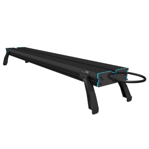 Aquatic Life 54-Watt Light Aquarium Light, 36-Inch, White/Blue/Purple Aquatic Life 54-Watt Light Aquarium Light, 36-Inch, White/Blue/Purple