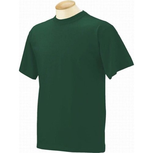 Fruit of the Loom Adult 100% Cotton Short Sleeve 6.1 oz Lofteez-T