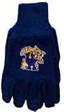 Kentucky University Wildcats Knit College Logo Glove