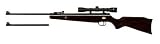Beeman Dual Caliber Air Rifle with Scope and Carry Bag