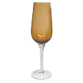 Braid Champagne Flutes Set of 6 - Amber