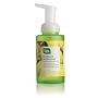 CleanWell All-Natural Antibacterial Foaming Hand Wash, Ginger Bergamot, 9.5-Ounce Bottle (Pack of 4)