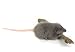 Gray Mouse Stuffed Animal Plush Toy 5" L
