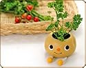 Taterpot Shorty: Spuds that Sprout