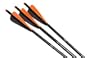 Wicked Ridge 20-Inch Black Aluminum 3 Pack Crossbow Arrows