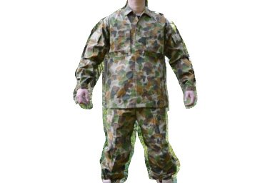  �I�[�X�g�����A�R DPCU ���ʕ� �㉺�Z�b�g AUSCAM�p�^�[��