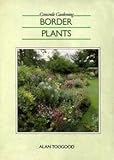 Border plants