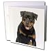 rottweiler36 - Dogs Rottweiler Rottweiler Greeting Cards12 Greeting Cards with