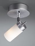 Kitchen & Housewares : Titania