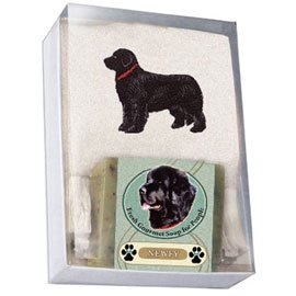 Single Gift Box with Newfoundland Soap and Towel