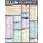 Latin Vocabulary (Quickstudy Reference Guides - Academic) (Latin Edition)