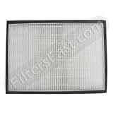 Hunter 30936 HEPAtech Air Filter Replacement