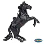 Zorro's Horse