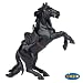 Search : Zorro's Horse