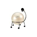 FitBALL&reg; Chair w/pump and 55cm silver ball