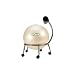 FitBALL&Acirc;&reg; Chair w/pump and 55cm silver ball