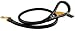 Dean & Tyler Dog Best Selling Rounded Leather Leash - High Quality Leather From Europe - Black - 2 Ft - 1/2 Diameter - Great for Everyday Use !!! Contact Us If You Would Like It in 6 or 4 Feet!!!