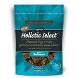 31uj3ZgntsL. SL160  Holistic Select Salmon Recipe Natural Dog Treats, 6 Ounce Bag