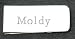 Money clip with engraved name: Moldy