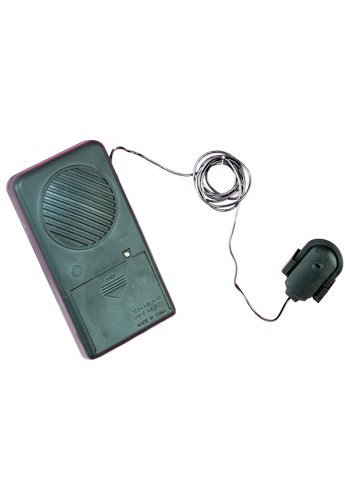 Voice Modifier