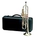 Maxam Brass Trumpet Excellent Beginner Instrument Mouthpiece Carrying Case Included