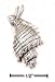 Sterling Silver Conch Shell Charm