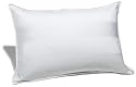 Pinzon Chamonix Medium Density White Goose Down Queen Pillow