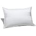 Pinzon Chamonix Medium Density White Goose Down Standard Pillow