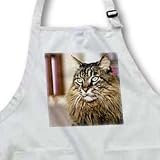 Cats - Maine Coon - Aprons