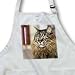 Maine Coon - Medium Length Apron With Pouch Pockets 22w X 24l