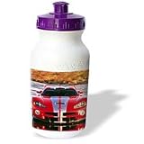 Cars - Dodge Viper 2001 - Water Bottles
