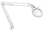 5 inch Magnifying Lamp