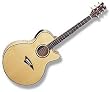 Dean Performer QSE - Gloss Natural Acoustic/Electric Guitar