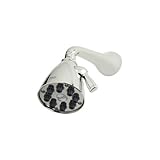 IMAGE OF Rohl BI00059PN 3-5/8-Inch Diameter Bossini Calliano Showerhead, 8 Jet with Adjustable Spray ,Polished Nickel