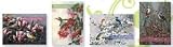 Scripture Greeting Cards  KJV  Boxed  Thinking Of You  Grace Notes