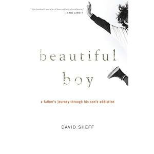 Beautiful Boy: A Father's Journey Through His Son's Addiction