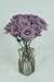 6 Dozen Roses Assorted Color Elegant Roses Long 72