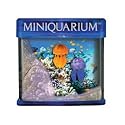 MiniQuarium