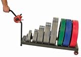 Horizontal Plate Rack, Weight Storage, Weight Lifting, Body Building & Fitness