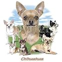 Chihuahua Adult T-Shirt