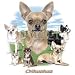Chihuahua Adult T-Shirt