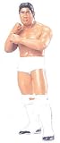 13cmFigure 山本宣久