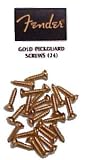  : Fender Gold Pickguard Screws